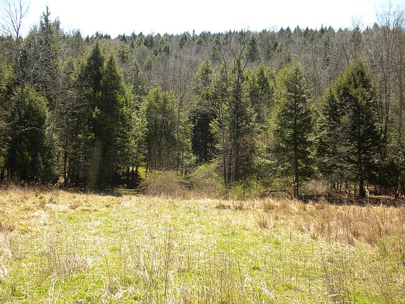 2nd image of 602 Ouaquaga Rd