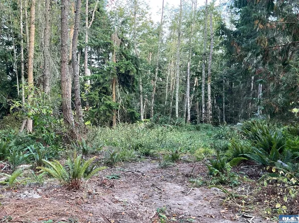 9999 Took A Look Ln Lot 2, Sequim, WA 98382