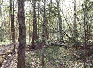 Tbd Petticoat Lake Rd, Michigamme, MI 49861