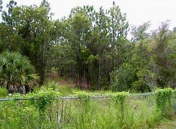 2nd image of 12496 Moon Rd