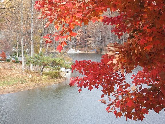 Lake View in Late Fall
