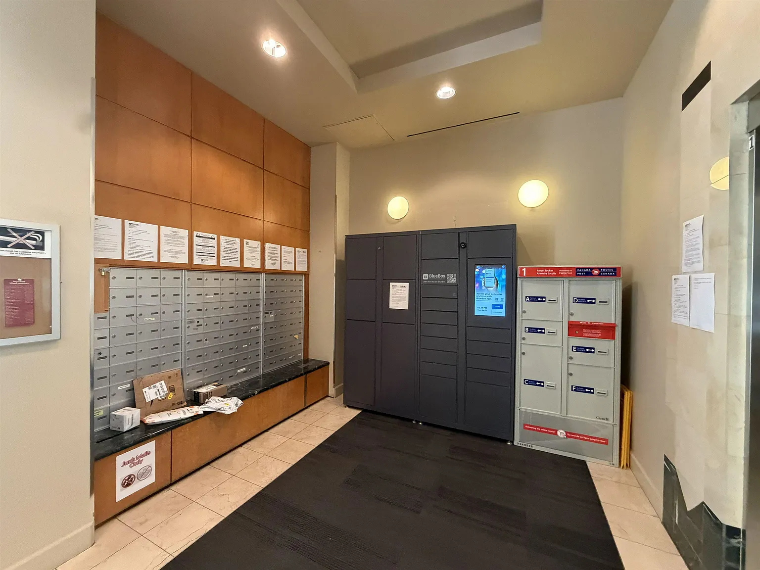 2 bed, 785 sqft, $3,000 — Photo 2