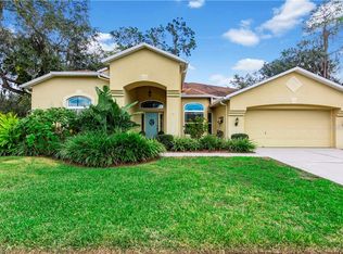 3702 Eaglewood St, Valrico, FL 33596