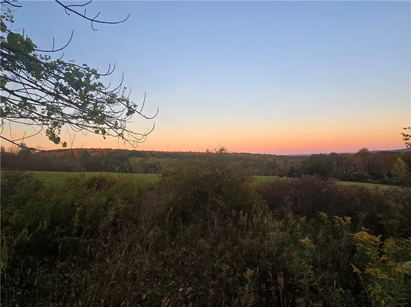 Hardknocks Rd, Unadilla, NY 13849