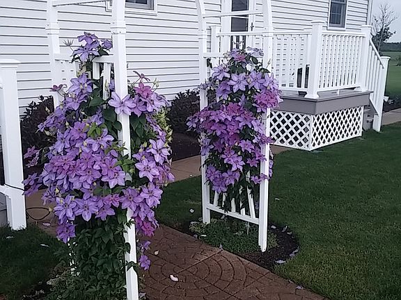 In Law Suite Entrance