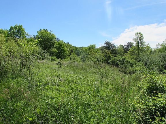 5th image of Timberland Dr