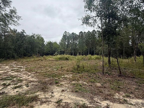 3rd image of 36636 Legacy Way