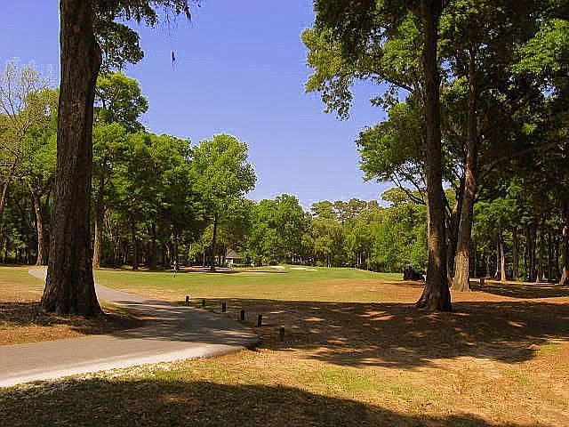 2nd image of Forest Oaks Dr