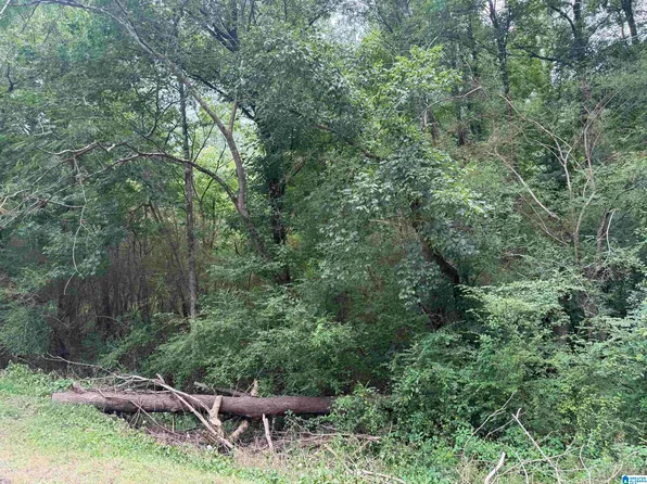 3500 Wilburn Lake Rd #0, Birmingham, AL 35214