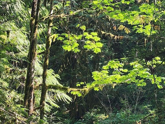 4th image of 7882 Silver Lake Road