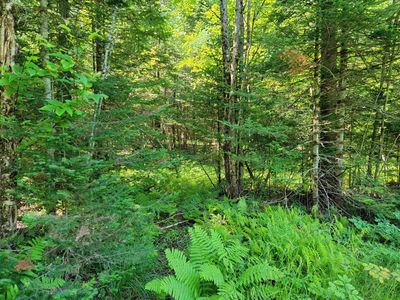 Christie Road, North Stratford, NH, 03590