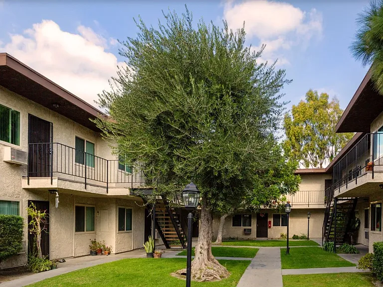 Los Arboles — Photo 13