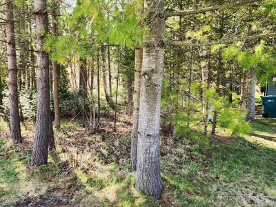 Iroquois Ave, Prudenville, MI, 48651