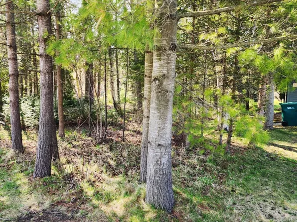 Iroquois Ave, Prudenville, MI 48651