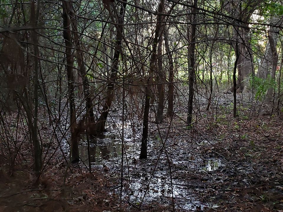 2nd image of River St