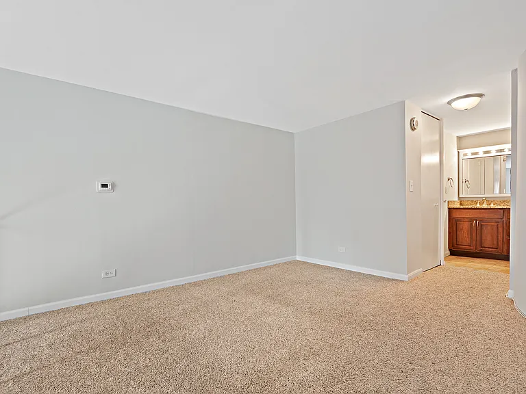 1221 N Dearborn Pkwy #806S — Photo 10