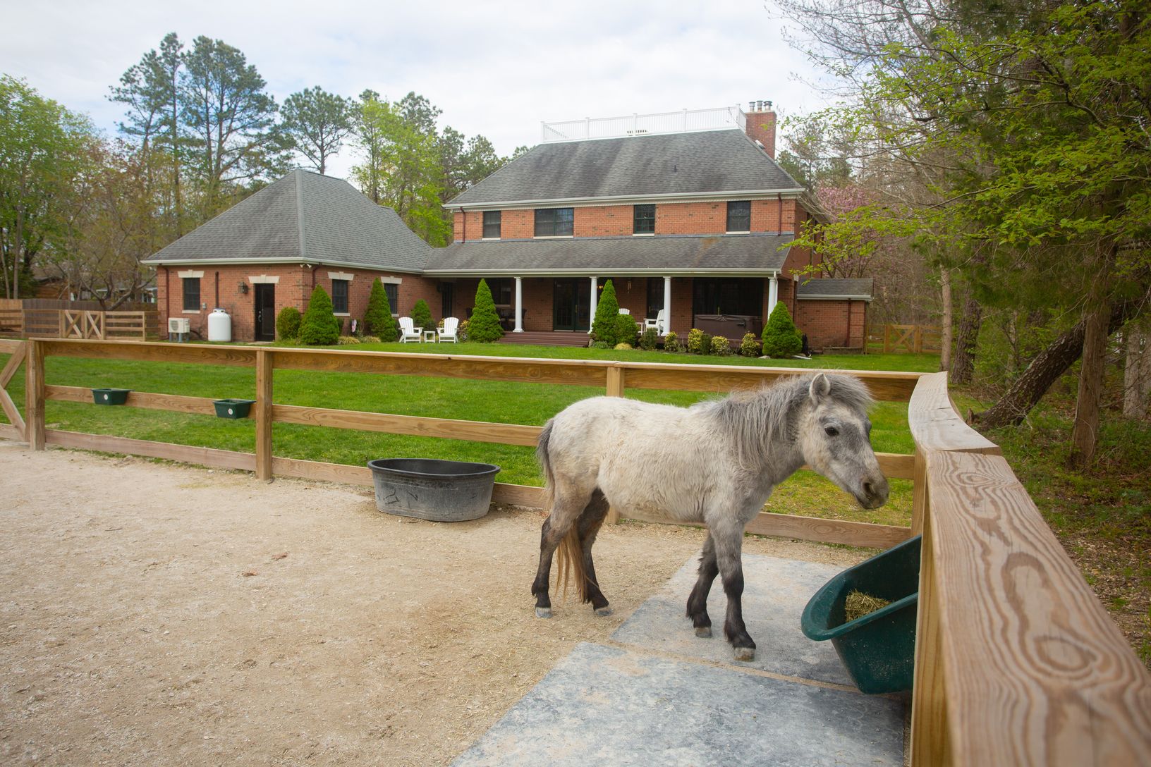  Horse Paddock