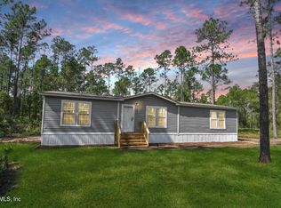 10225 Kirchherr Ave, Hastings, FL 32145