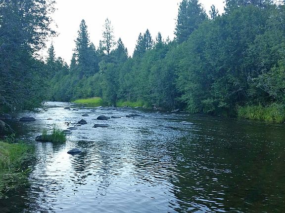 3rd image of 12068 Highway 21 S