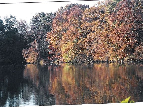view down the back of the house