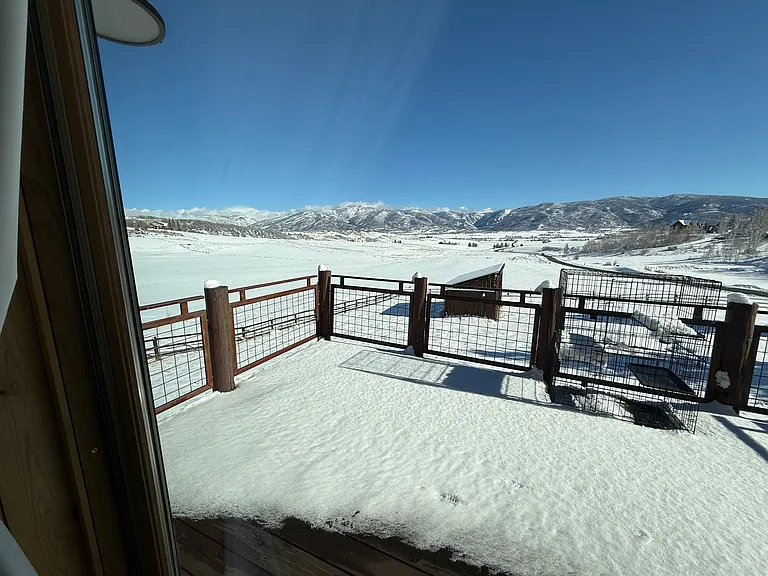 View out the back sliding glass door