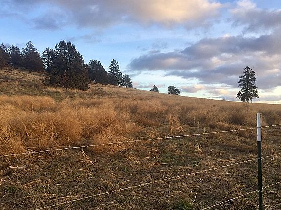 North Pasture
