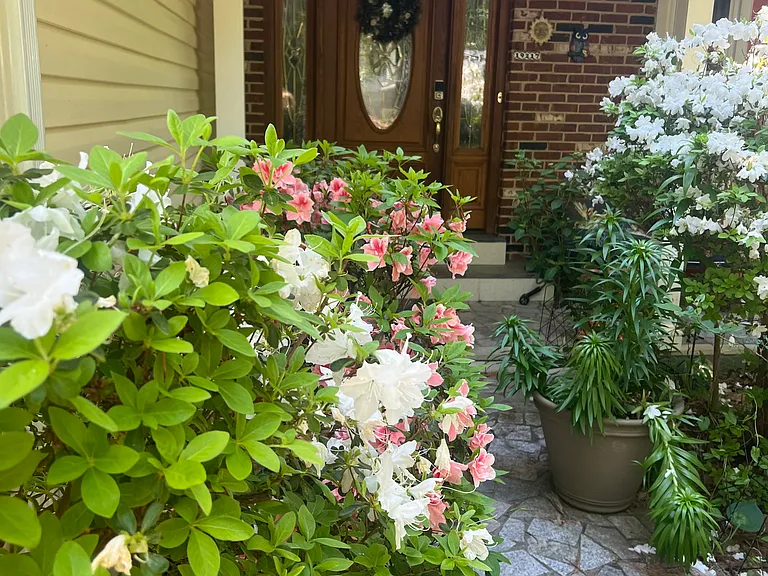 Gatlin Dr — Photo 8