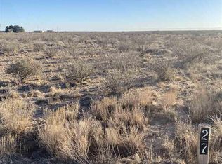 2015 S Tagwood Ln, Carlsbad, NM 88220