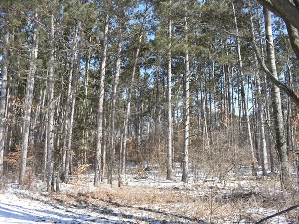 11853 21 Mile Rd NE, Sand Lake, MI 49343