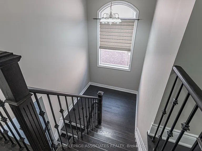 156 Maria Antonia Rd — Photo 19