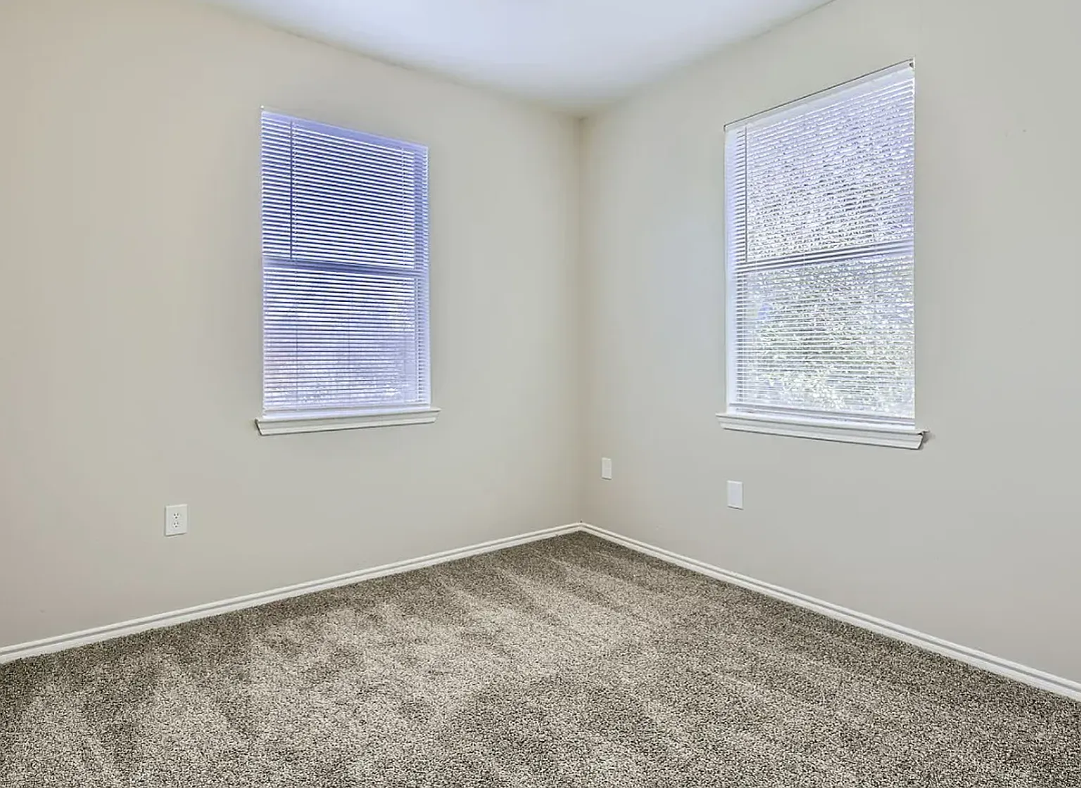 4722 Meadow Street — Photo 4