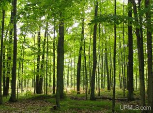 Forbes Rd, Athelstane, WI 54104