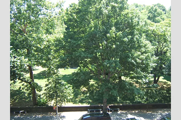 Rented by Stribling | media 9