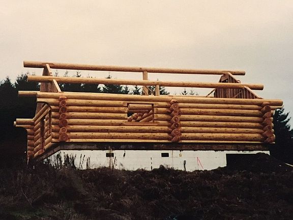 LOG HOUSE in one day