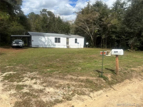 229 Barnes Rd, Cottonwood, AL 36320