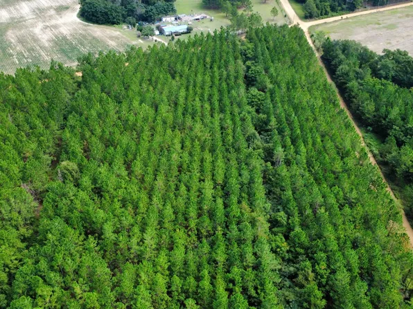 TRACT 4 A L Reeves Rd, Fitzgerald, GA 31750