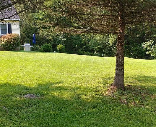 Front side view of yard