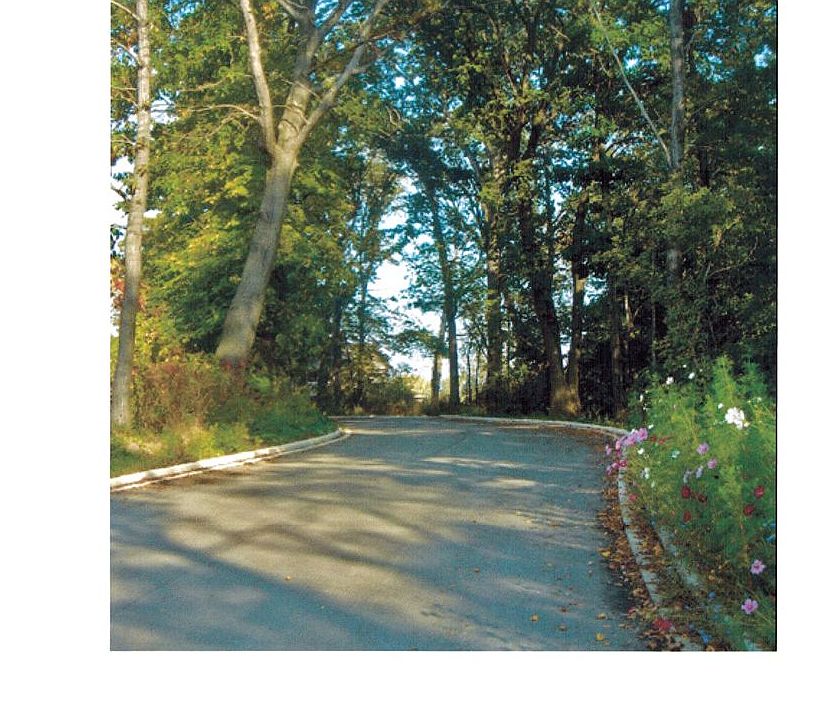 Wooded Entry