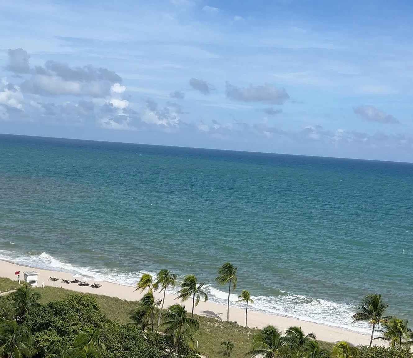2 bed, 2.5 bath, 993 sqft, $4,500 — Photo 1