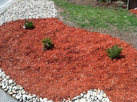 new mulch and landscaping 