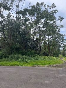 Kahoolawe Rd, Pahoa, HI, 96778