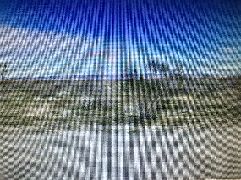 2nd image of 4367 Camellia Rd