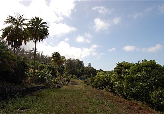 5th image of Old Mamalahoa Hwy Lot F