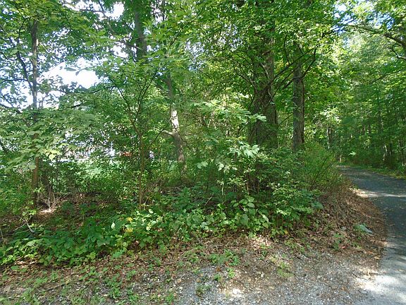 3rd image of 60 Zook Dr