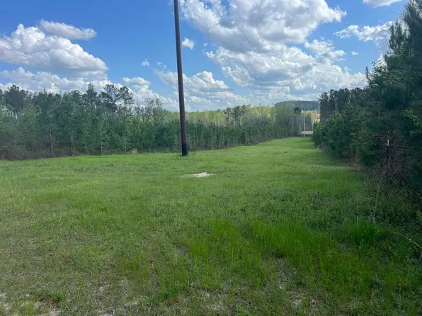 0 Gilchrist Rd, Clayton, AL 36016