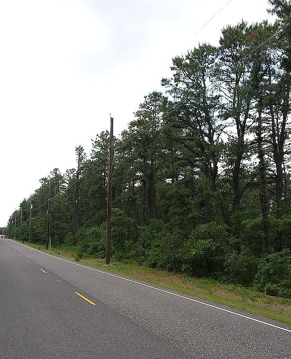 1st image of 25 Savoy Blvd