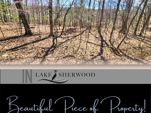1649 King Arthur Dr, Lake Sherwood, MO 63357