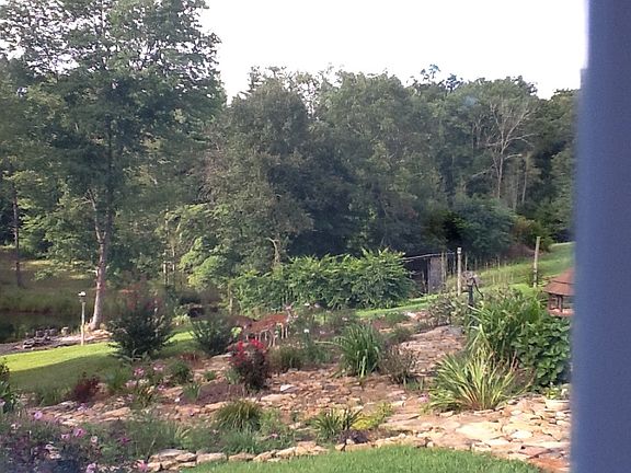 View from porch to pond