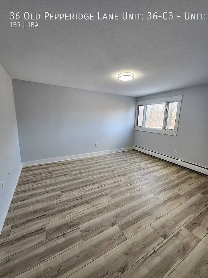 1 bed, $1,950 — Photo 3
