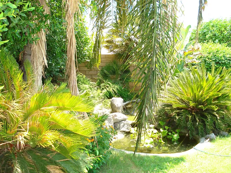 Pond and waterfall